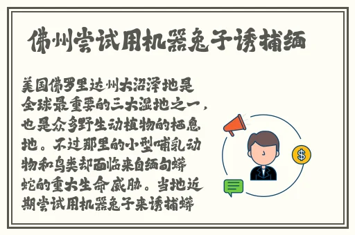 年轻的老师5完有限中字木瓜