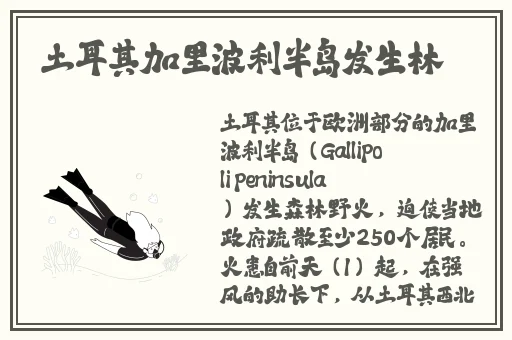 妻子的秘密HD免费完整版